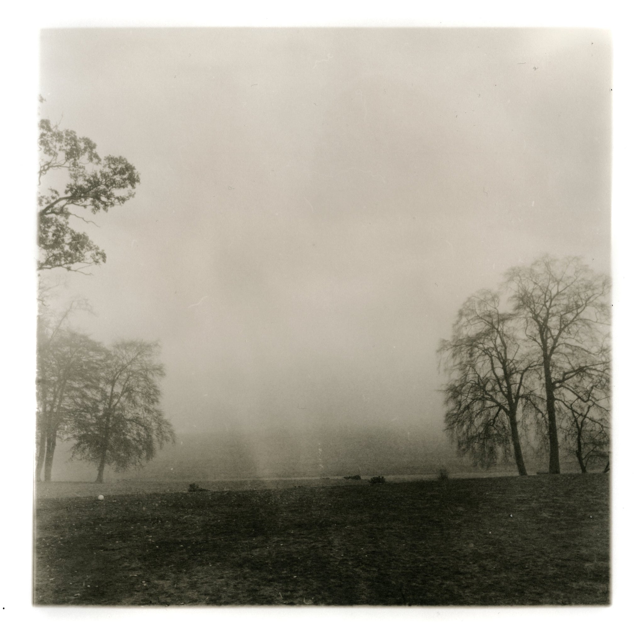 Black Girls Hike UK C.I.C