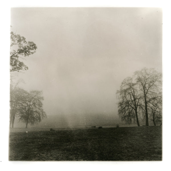 Black Girls Hike UK C.I.C