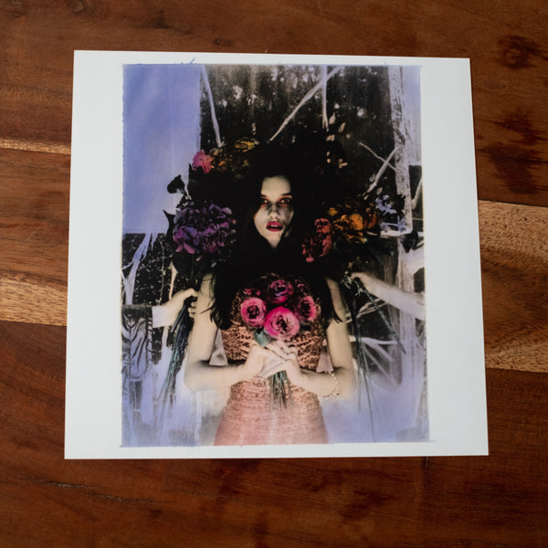 Cold - C-type- Artist Proof