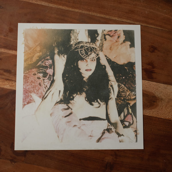 Cat - C-type - Artist Proof