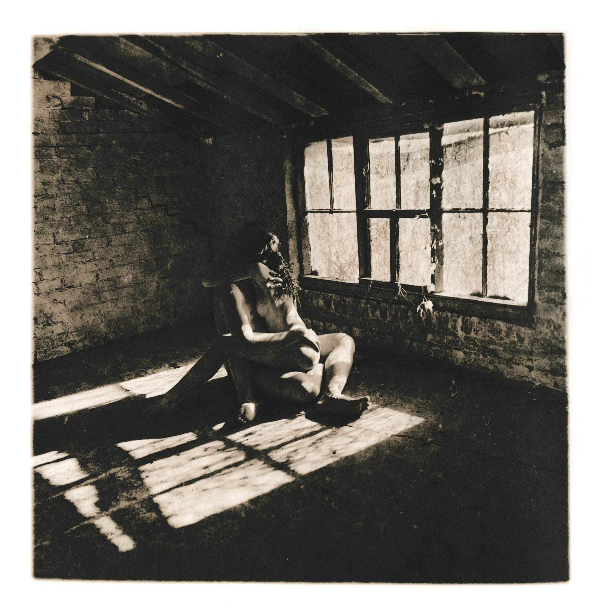 Donation for Homeless Black Trans Women