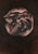 Gnosis #5